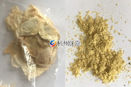 如何利用宋慈高通量多樣品組織研磨儀研磨植物組織？