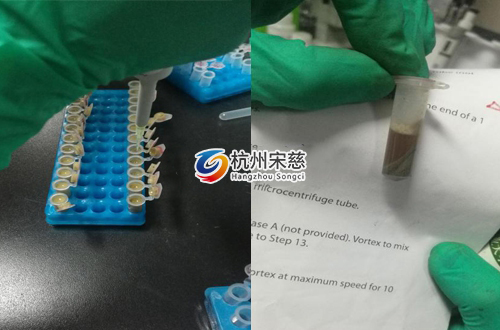 <a href=http://www.rqvip.cn/prouduct/lengdong/ target=_blank class=infotextkey>冷凍研磨儀</a>